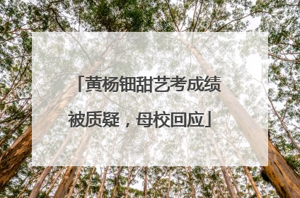 黄杨钿甜艺考成绩被质疑，母校回应