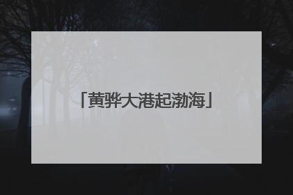 黄骅大港起渤海
