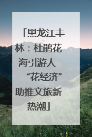 黑龙江丰林：杜鹃花海引游人 “花经济”助推文旅新热潮