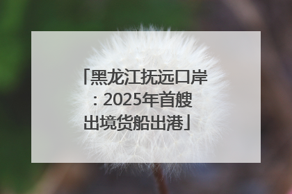 黑龙江抚远口岸：2025年首艘出境货船出港