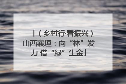 （乡村行·看振兴）山西襄垣：向“林”发力 借“绿”生金