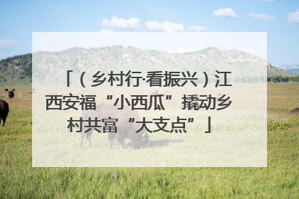 （乡村行·看振兴）江西安福“小西瓜”撬动乡村共富“大支点”
