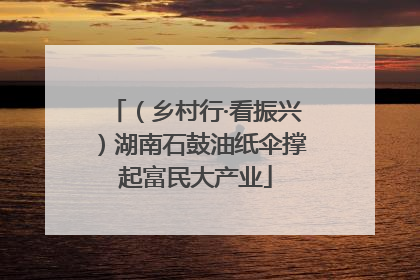（乡村行·看振兴）湖南石鼓油纸伞撑起富民大产业
