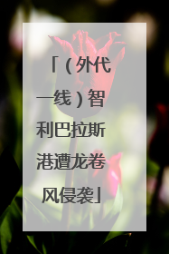 （外代一线）智利巴拉斯港遭龙卷风侵袭