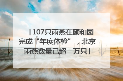 107只雨燕在颐和园完成“年度体检”，北京雨燕数量已超一万只