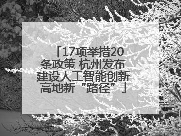 17项举措20条政策 杭州发布建设人工智能创新高地新“路径”