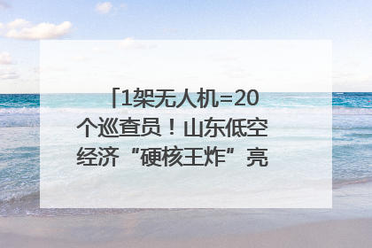 1架无人机=20个巡查员！山东低空经济“硬核王炸”亮相青岛，下一个万亿赛道藏在这里