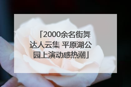 2000余名街舞达人云集 平原湖公园上演动感热潮