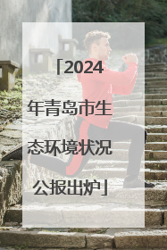 2024年青岛市生态环境状况公报出炉