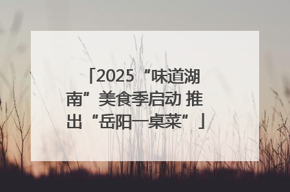 2025“味道湖南”美食季启动 推出“岳阳一桌菜”