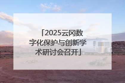 2025云冈数字化保护与创新学术研讨会召开