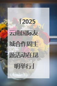 2025云南国际友城合作周主题活动在昆明举行