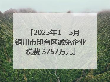 2025年1—5月铜川市印台区减免企业税费 3757万元