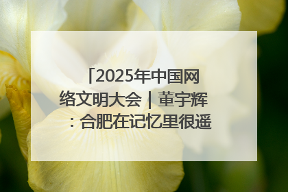 2025年中国网络文明大会｜董宇辉：合肥在记忆里很遥远也很亲切