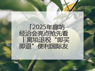 2025年廊坊经洽会亮点抢先看丨离境退税“即买即退”便利国际友人“买买买”