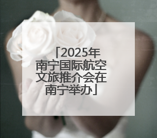 2025年南宁国际航空文旅推介会在南宁举办