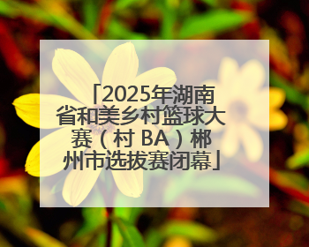 2025年湖南省和美乡村篮球大赛（村 BA）郴州市选拔赛闭幕