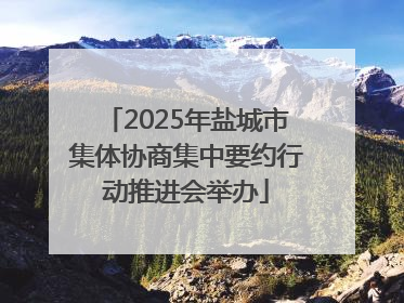 2025年盐城市集体协商集中要约行动推进会举办