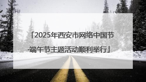 2025年西安市网络中国节·端午节主题活动顺利举行