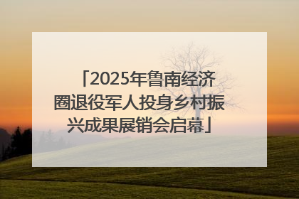 2025年鲁南经济圈退役军人投身乡村振兴成果展销会启幕