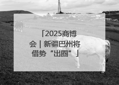 2025商博会｜新疆巴州将借势“出圈”