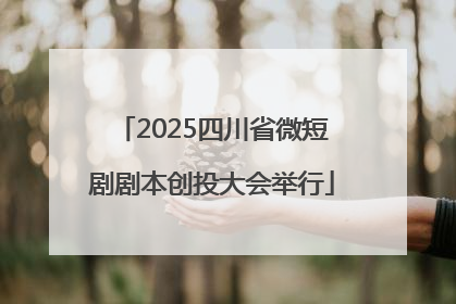 2025四川省微短剧剧本创投大会举行