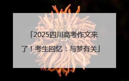 2025四川高考作文来了！考生回忆：与梦有关
