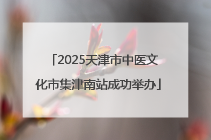 2025天津市中医文化市集津南站成功举办