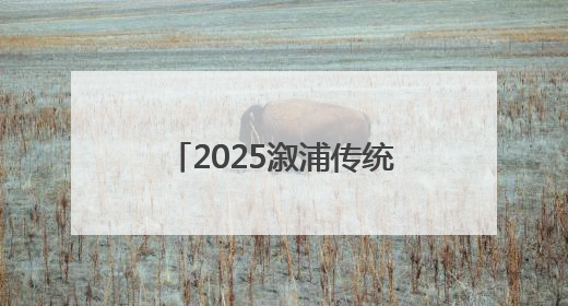 2025溆浦传统龙舟赛圆满落幕 竞速表演双燃 共展“大端午”魅力
