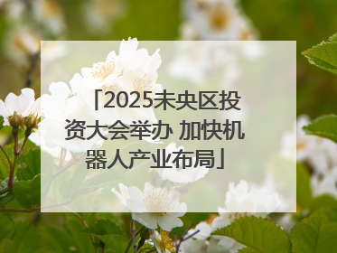 2025未央区投资大会举办 加快机器人产业布局