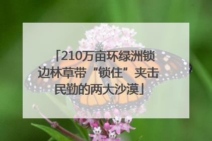 210万亩环绿洲锁边林草带“锁住”夹击民勤的两大沙漠
