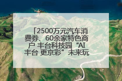 2500万元汽车消费券、60余家特色商户 丰台科技园“AI丰台 更京彩”未来玩家市集活动正式开幕