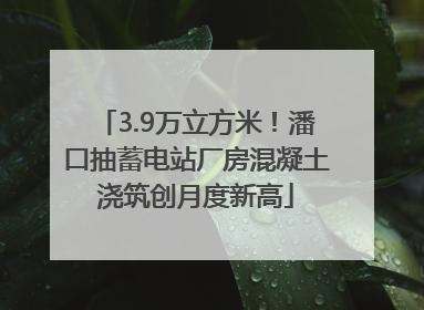3.9万立方米！潘口抽蓄电站厂房混凝土浇筑创月度新高