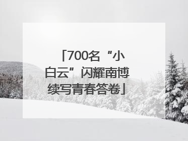 700名“小白云”闪耀南博续写青春答卷