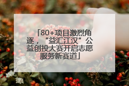 80+项目激烈角逐，“益汇江汉”公益创投大赛开启志愿服务新赛道