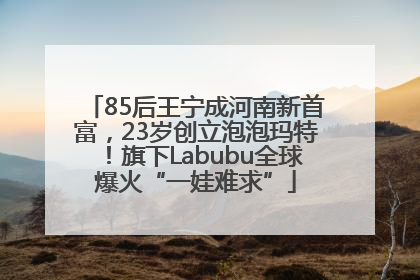 85后王宁成河南新首富，23岁创立泡泡玛特！旗下Labubu全球爆火“一娃难求”