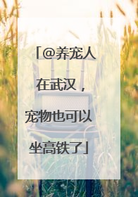 @养宠人 在武汉，宠物也可以坐高铁了