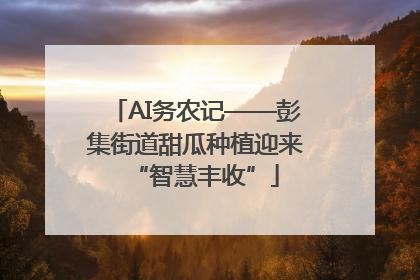 AI务农记——彭集街道甜瓜种植迎来“智慧丰收”