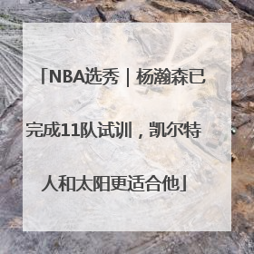 NBA选秀｜杨瀚森已完成11队试训，凯尔特人和太阳更适合他