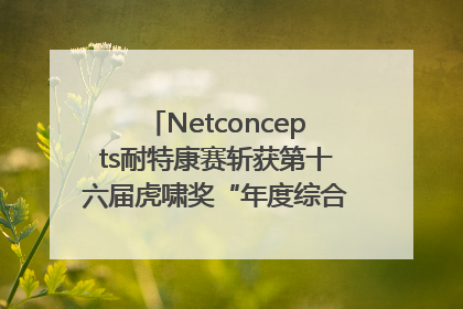 Netconcepts耐特康赛斩获第十六届虎啸奖“年度综合服务商”大奖