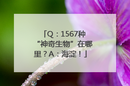 Q：1567种“神奇生物”在哪里？A：海淀！