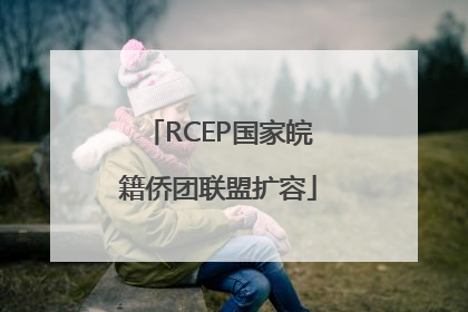 RCEP国家皖籍侨团联盟扩容